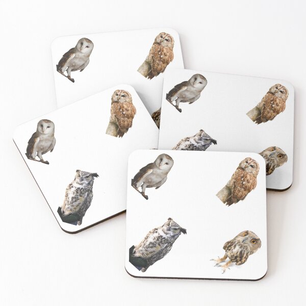 Item preview, 3rd Alerted Owls Stickers Pack. Essential For Every Owl Lover. Suitable For Laptops, Walls, Cars - Cute designed and sold by AnimalStickers-.
