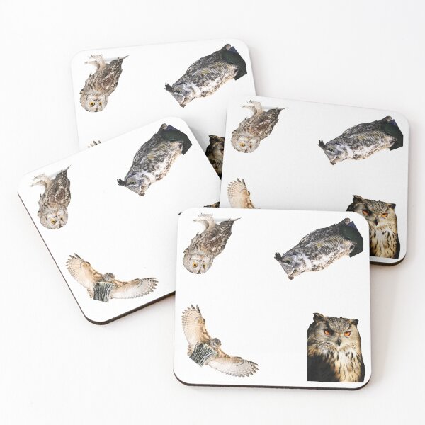 Item preview, 1st Angry Owls Stickers Pack. Essential For Every Owl Lover. Suitable For Laptops, Walls, Cars - Cute designed and sold by AnimalStickers-.