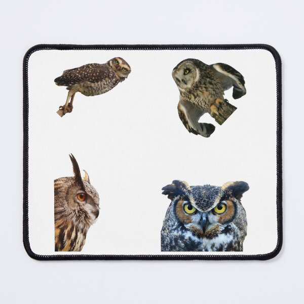 Item preview, 3rd Angry Owls Stickers Pack. Essential For Every Owl Lover. Suitable For Laptops, Walls, Cars - Cute designed and sold by AnimalStickers-.