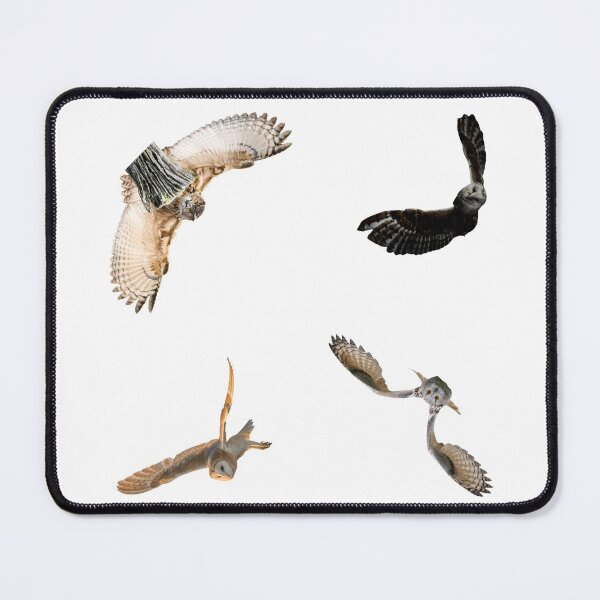 Item preview, 1st Flying Owls Stickers Pack. Essential For Every Owl Lover. Suitable For Laptops, Walls, Cars - Cute designed and sold by AnimalStickers-.