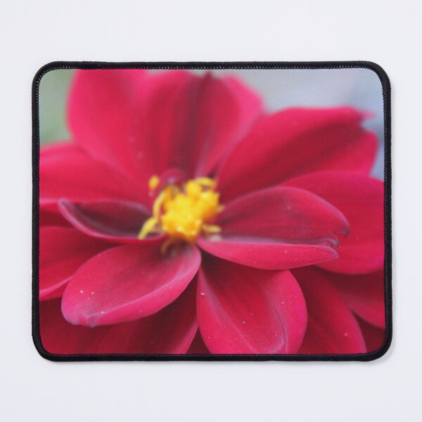 Item preview, Flower in Red designed and sold by MonaSimis.