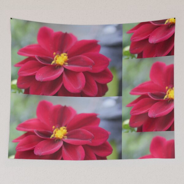 Item preview, Flower in Red designed and sold by MonaSimis.