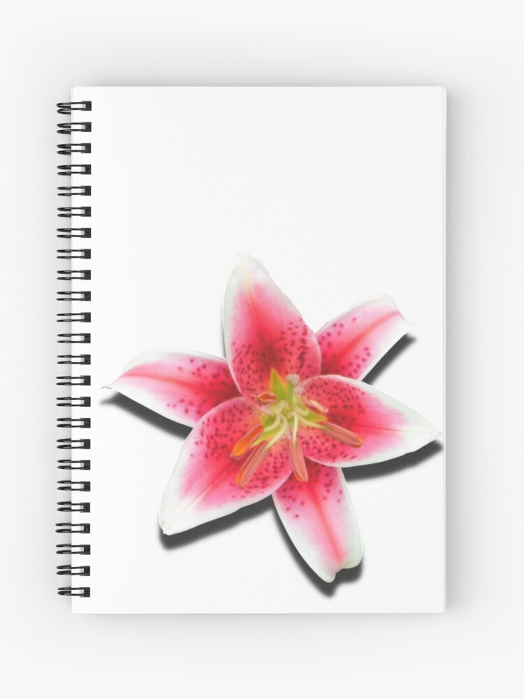 Cuaderno de espiral «lirio de tigre» de Wheeler-Styl3 | Redbubble