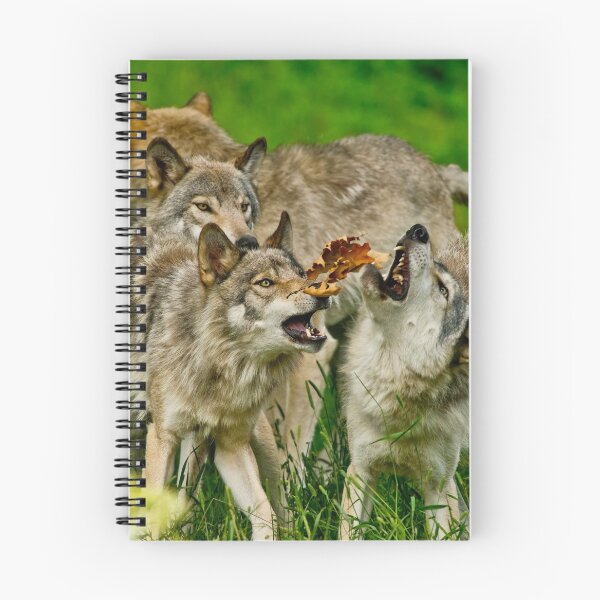 Item preview, Timber Wolves designed and sold by Michael Cummings.
