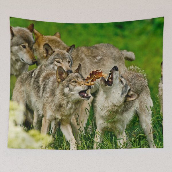 Item preview, Timber Wolves designed and sold by Michael Cummings.