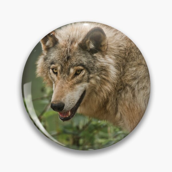 Item preview, Timber Wolf designed and sold by Michael Cummings.