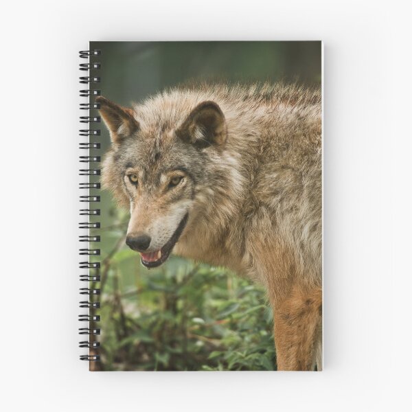 Item preview, Timber Wolf designed and sold by Michael Cummings.