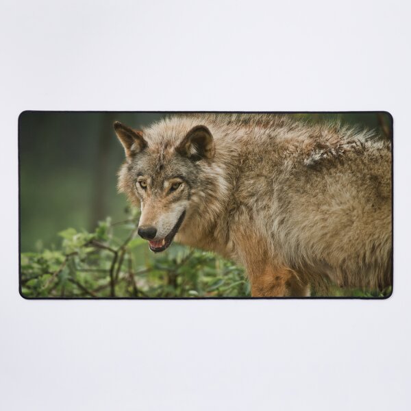 Item preview, Timber Wolf designed and sold by Michael Cummings.