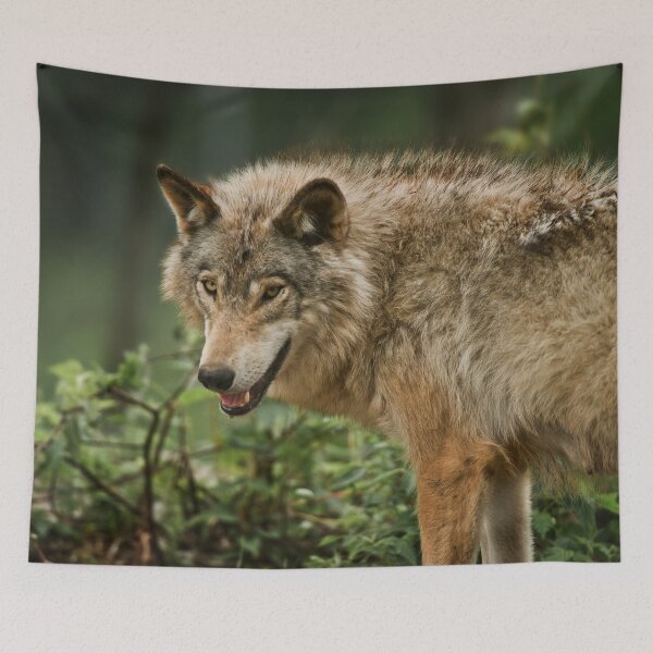 Item preview, Timber Wolf designed and sold by Michael Cummings.