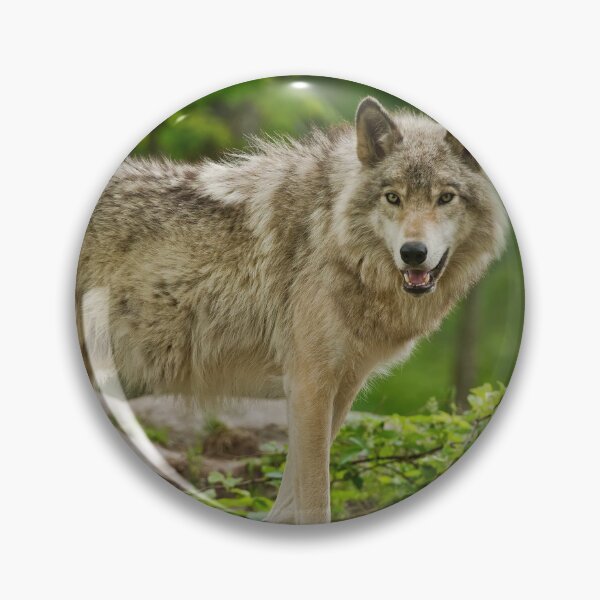 Item preview, Grey Wolves designed and sold by Michael Cummings.