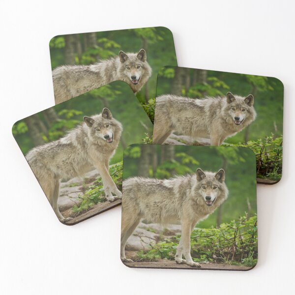 Item preview, Grey Wolves designed and sold by Michael Cummings.