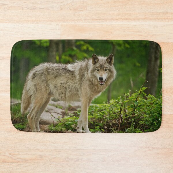 Item preview, Grey Wolves designed and sold by Michael Cummings.