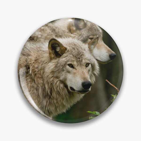 Item preview, Timber Wolves designed and sold by Michael Cummings.