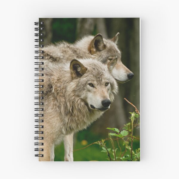 Item preview, Timber Wolves designed and sold by Michael Cummings.