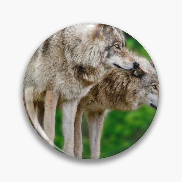 Item preview, Gray Wolves designed and sold by Michael Cummings.