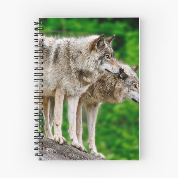 Item preview, Gray Wolves designed and sold by Michael Cummings.