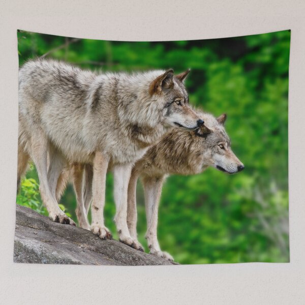 Item preview, Gray Wolves designed and sold by Michael Cummings.