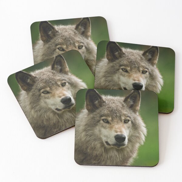 Item preview, Gray Wolf designed and sold by Michael Cummings.