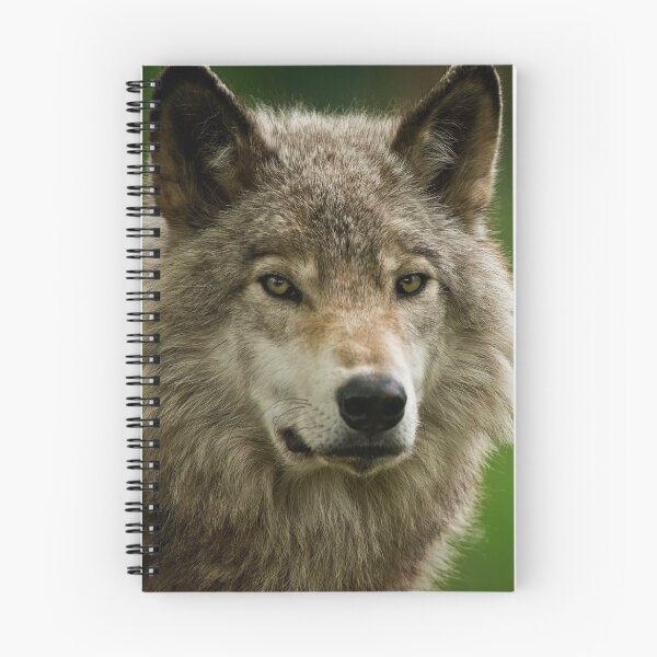 Item preview, Gray Wolf designed and sold by Michael Cummings.