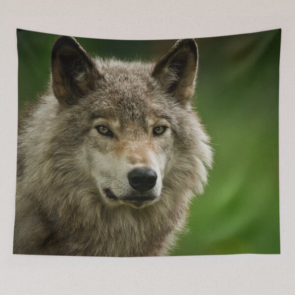 Item preview, Gray Wolf designed and sold by Michael Cummings.