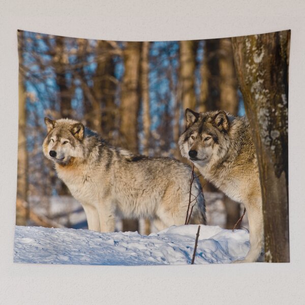 Item preview, Grey Wolves designed and sold by Michael Cummings.