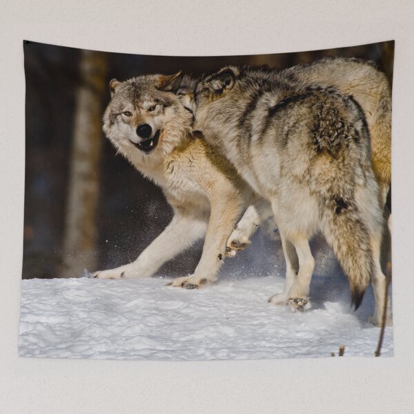 Item preview, Gray Wolves designed and sold by Michael Cummings.