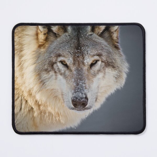 Item preview, Gray Wolf designed and sold by Michael Cummings.