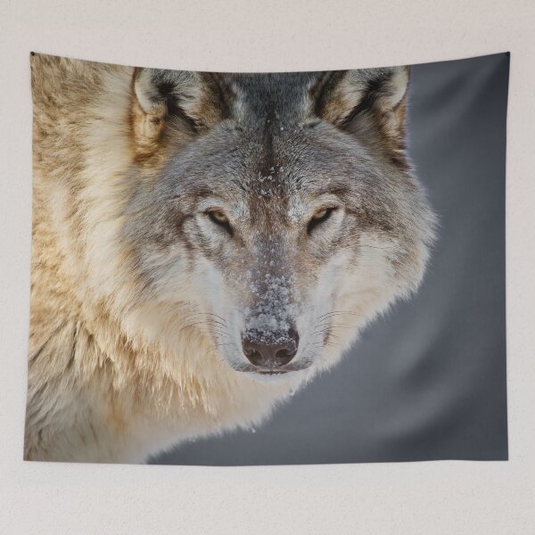 Item preview, Gray Wolf designed and sold by Michael Cummings.