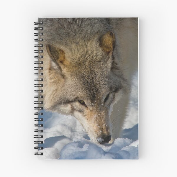Item preview, Grey Wolf designed and sold by Michael Cummings.