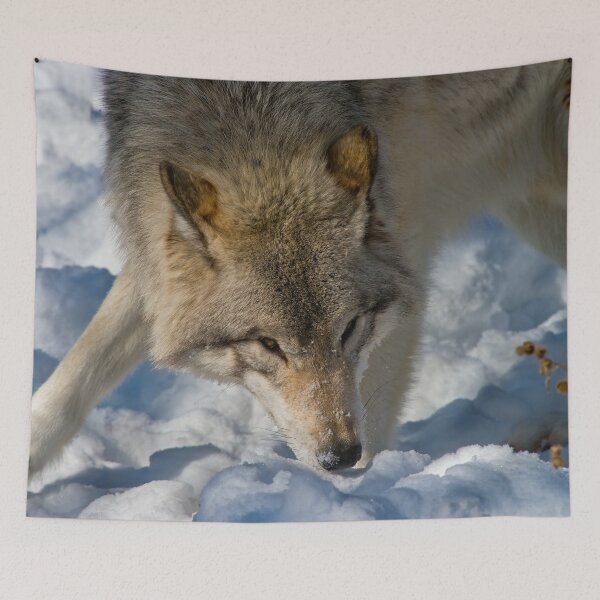 Item preview, Grey Wolf designed and sold by Michael Cummings.