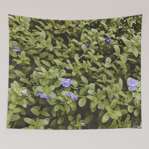 Item preview, Butterfly Pea / Clitoria Ternatea Flowers designed and sold by maia-maia.