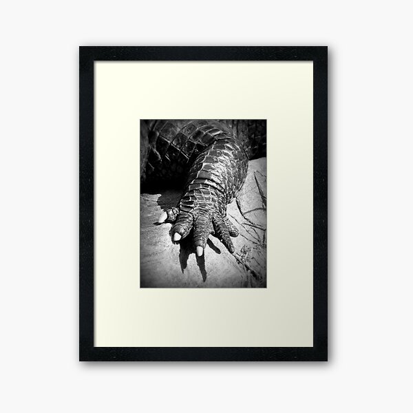 Item preview, Alligator's Foot designed and sold by Karen Tregoning.