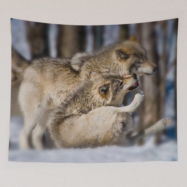 Item preview, Timber Wolves designed and sold by Michael Cummings.