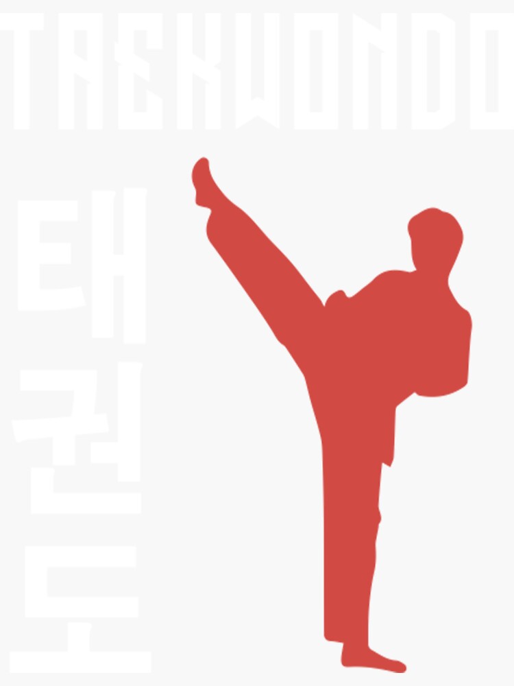 "Martial Arts TShirtFighter Kick Martial Arts Taekwondo " Sticker by