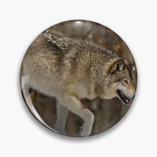Item preview, Grey Wolf designed and sold by Michael Cummings.
