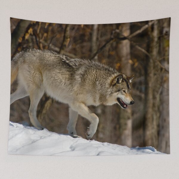 Item preview, Grey Wolf designed and sold by Michael Cummings.
