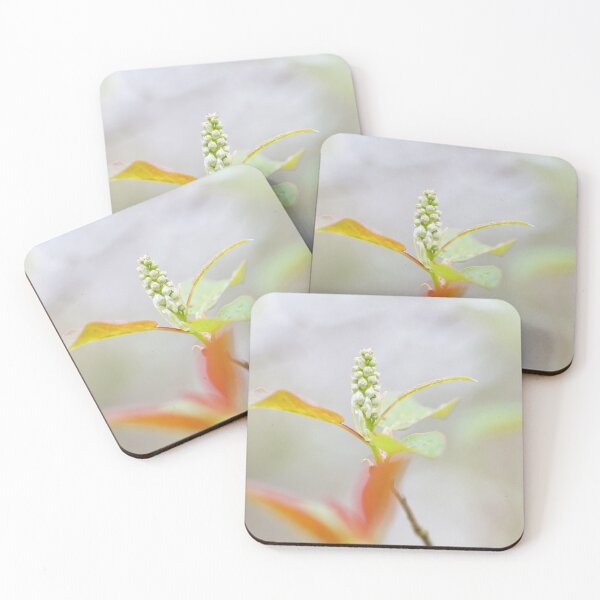 Item preview, Forest Renewal designed and sold by Kathilee.