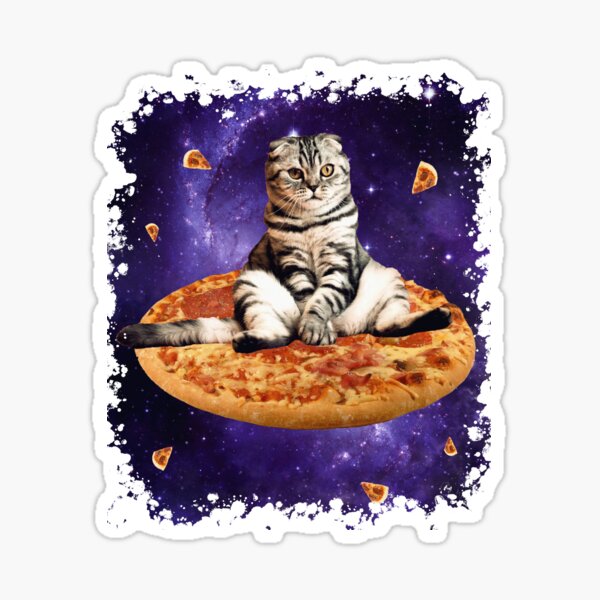 Galaxy Pizza Cat Merch & Gifts for Sale | Redbubble