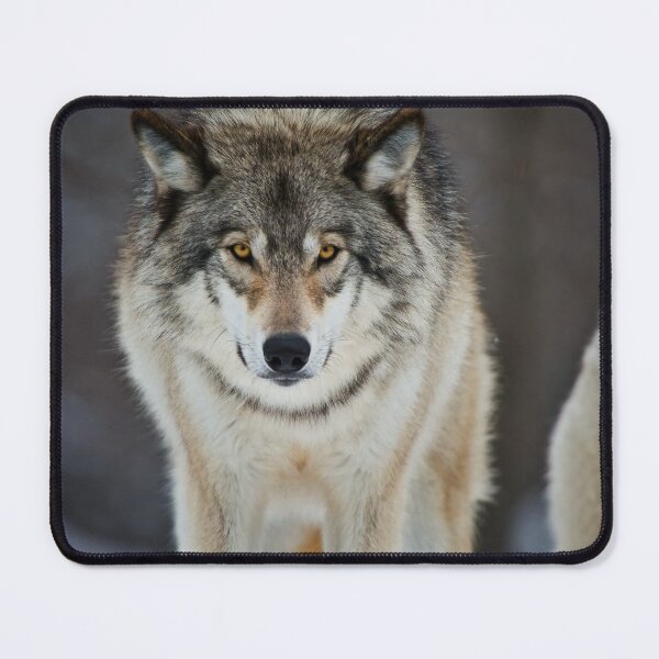 Item preview, Gray Wolf designed and sold by Michael Cummings.