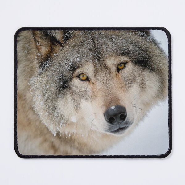 Item preview, Timber Wolf designed and sold by Michael Cummings.