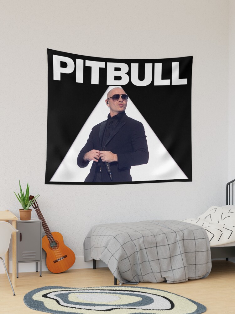 Mr Worldwide Pitbull Rapper