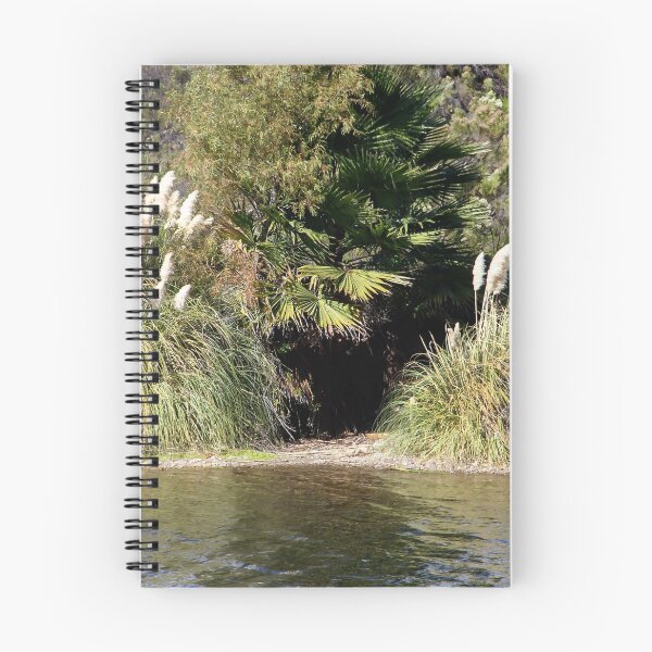 Item preview, Pampas Grass Guarding the Dark Entrance! designed and sold by heatherfriedman.