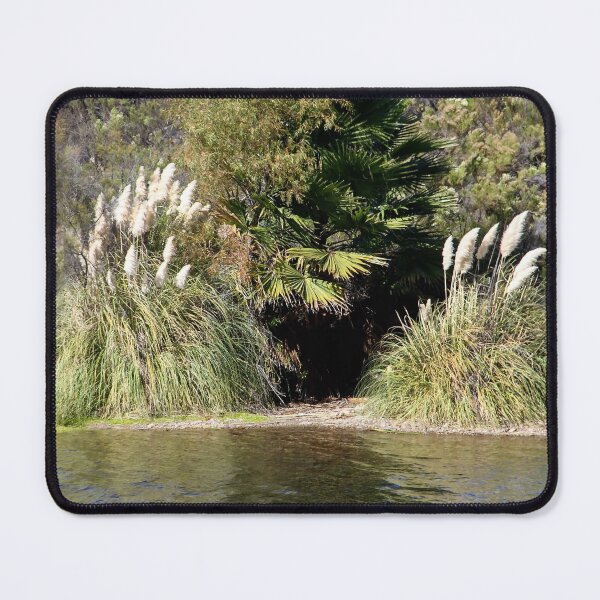 Item preview, Pampas Grass Guarding the Dark Entrance! designed and sold by heatherfriedman.