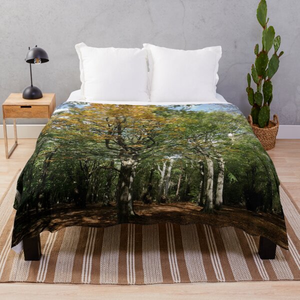 Item preview, High Gosforth Park en otoño de sol designed and sold by Violaman.