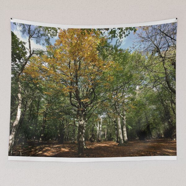 Item preview, High Gosforth Park en otoño de sol designed and sold by Violaman.