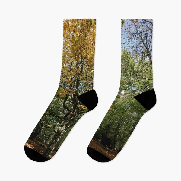 Item preview, High Gosforth Park en otoño de sol designed and sold by Violaman.