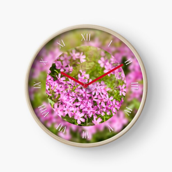 Item preview, Phlox subulata pink flowering macro designed and sold by Arletta Cwalina.
