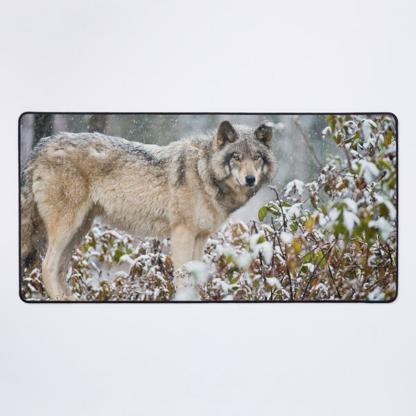 Item preview, Gray Wolf designed and sold by Michael Cummings.
