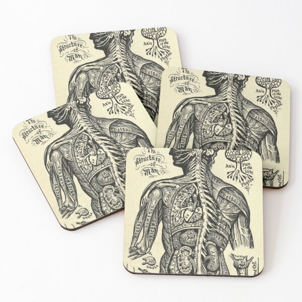 Item preview, Vintage illustration of the nervous system by Dr Alesha Sivartha designed and sold by Jpsmyth.
