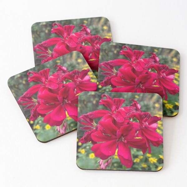 Item preview, Geranium Flowers Gardeners Delight Photography designed and sold by OByD.